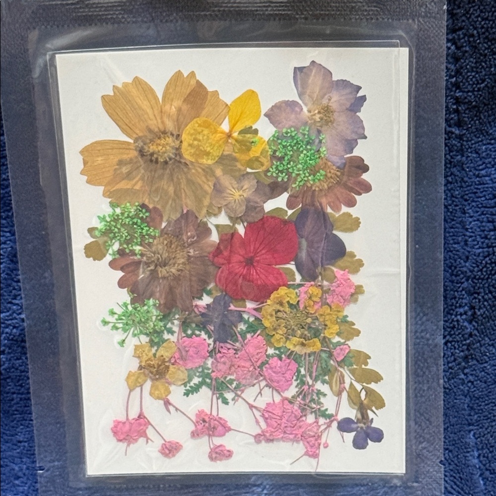 Pressed Floral Art Collage - Multi Color